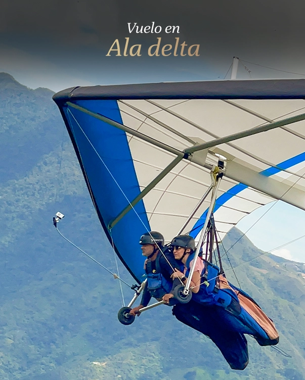 Ala delta en Barbosa